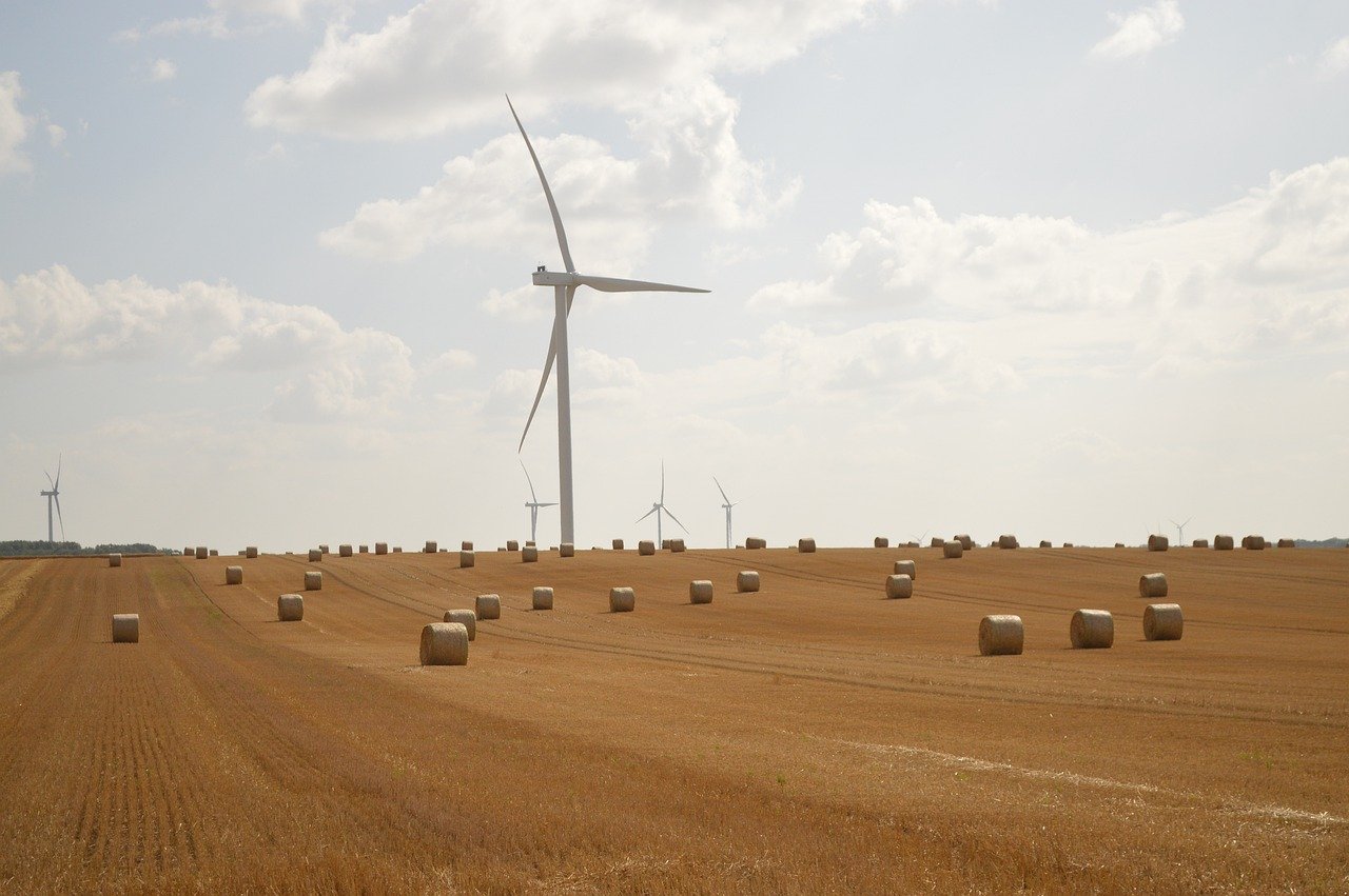 discover what a sustainable business model is, how it benefits companies and the environment, and explore strategies for building long-term value while prioritizing social and environmental responsibility.
